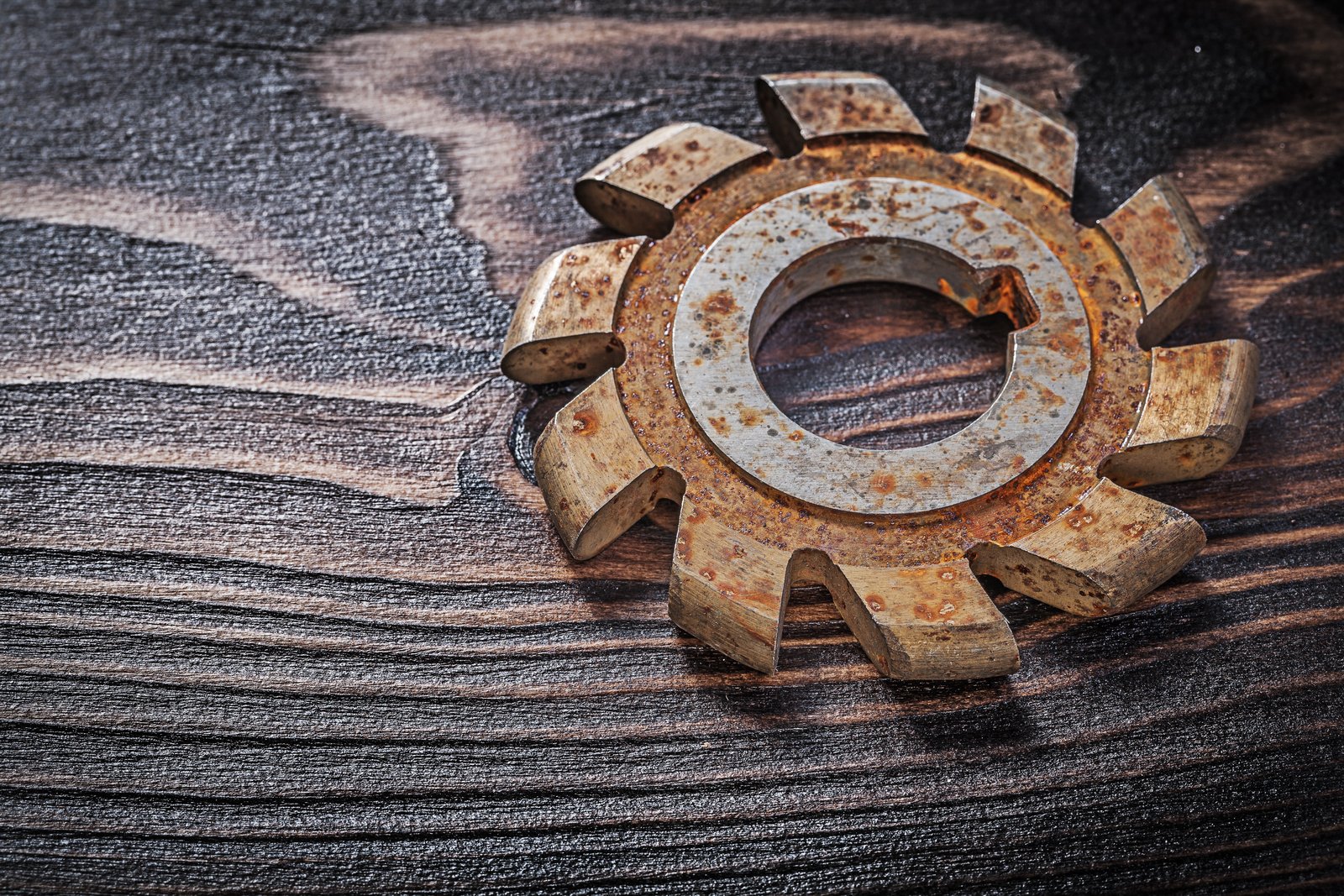 Why Your Raw Files Look Worse in Photoshop (And How to Fix That in Camera Raw)