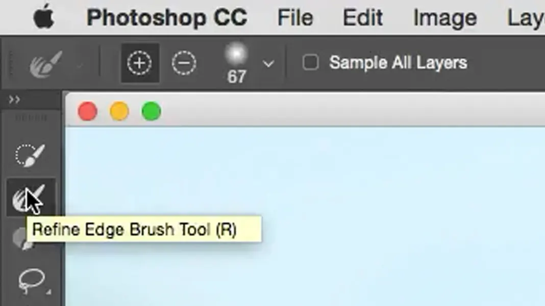 Refine Edge Brush tool in Photoshop