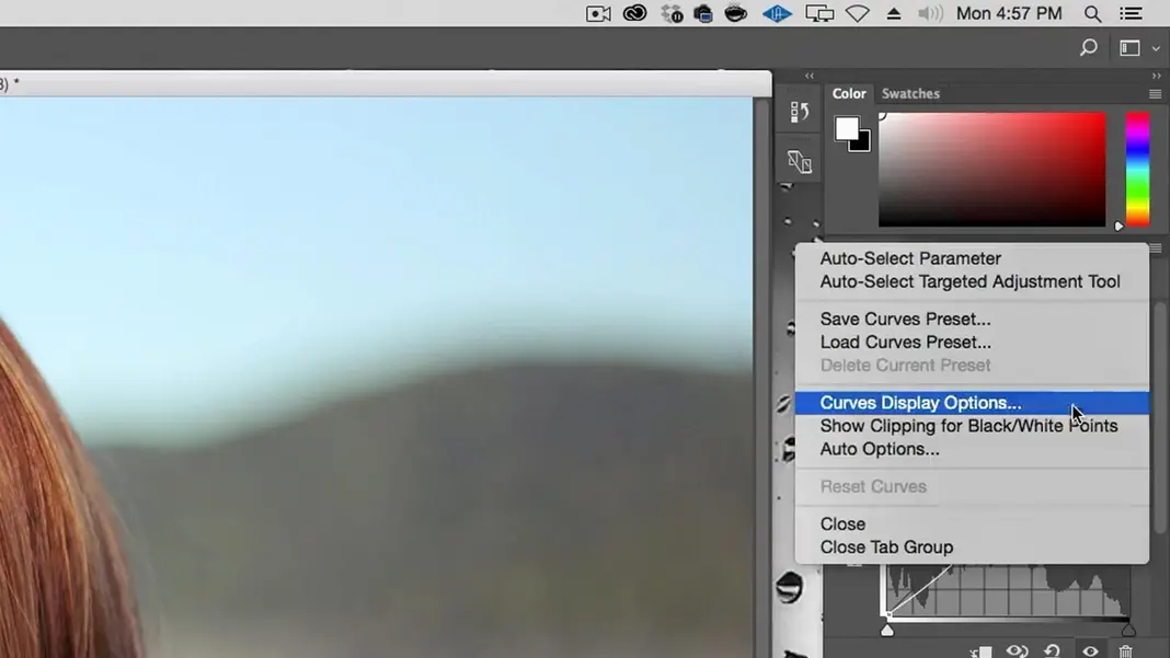 curves display options in Photoshop