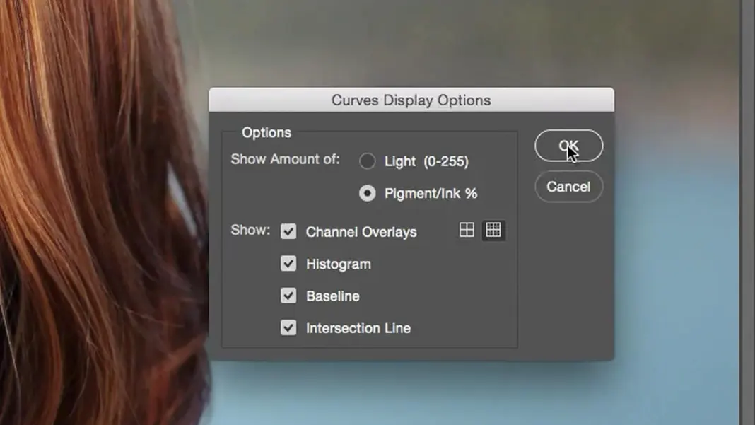 curves display options panel