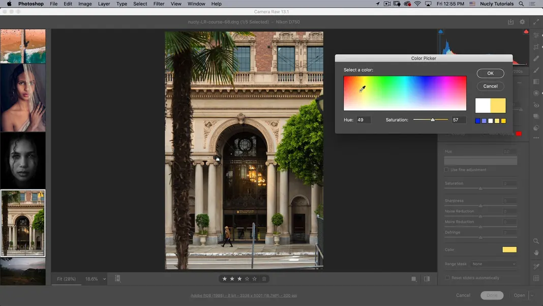 How to Use Photoshop Camera RAW