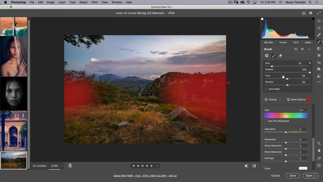 How to Use Photoshop Camera RAW