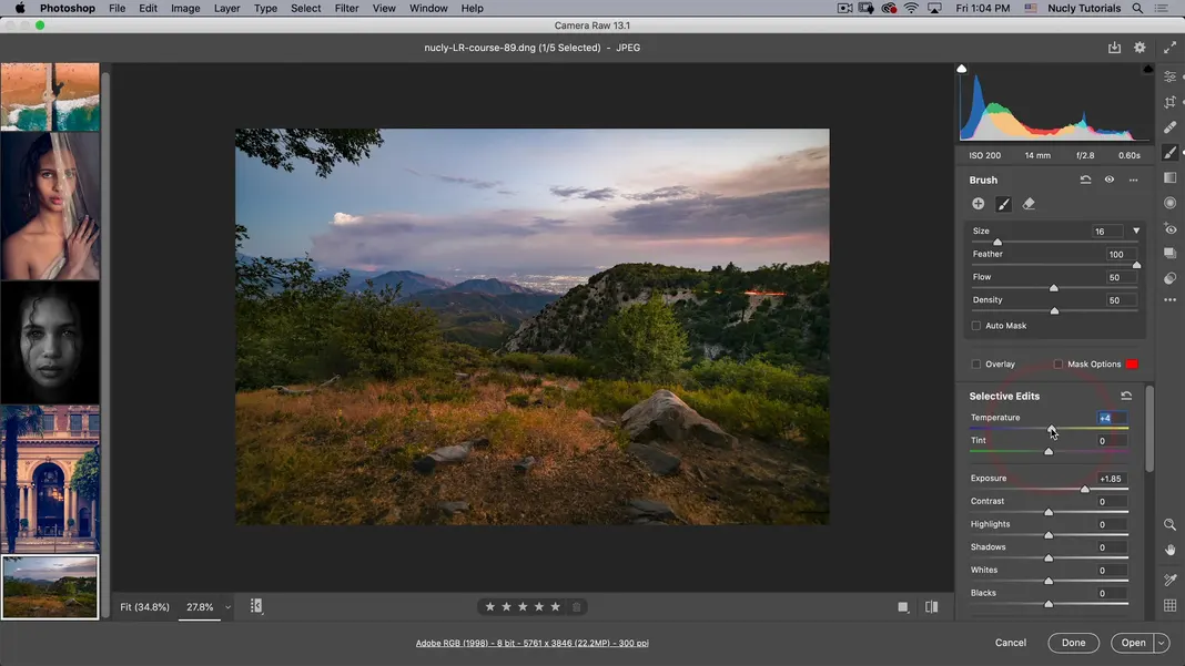 How to Use Photoshop Camera RAW