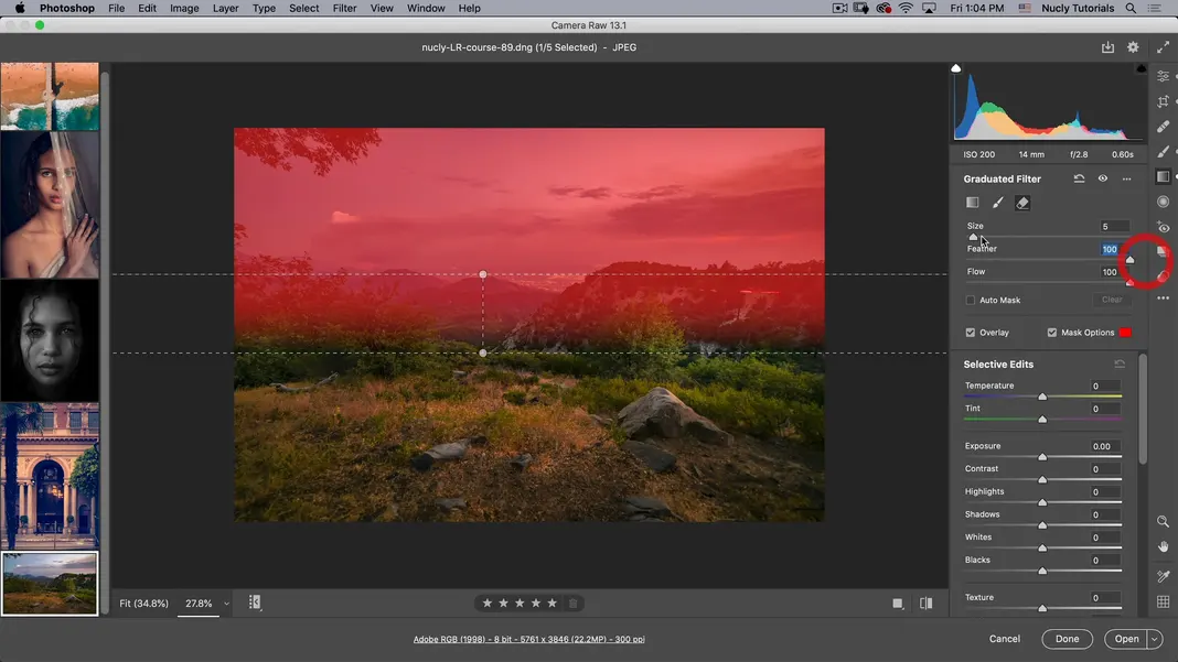 How to Use Photoshop Camera RAW