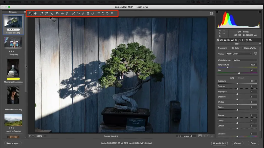 How to Use Photoshop Camera RAW