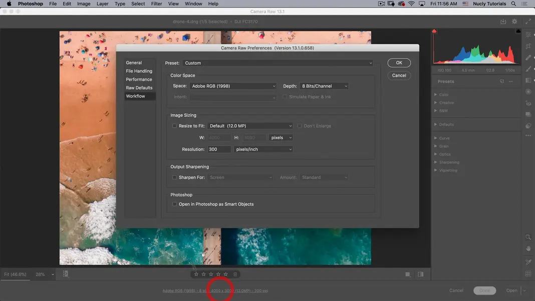 How to Use Photoshop Camera RAW