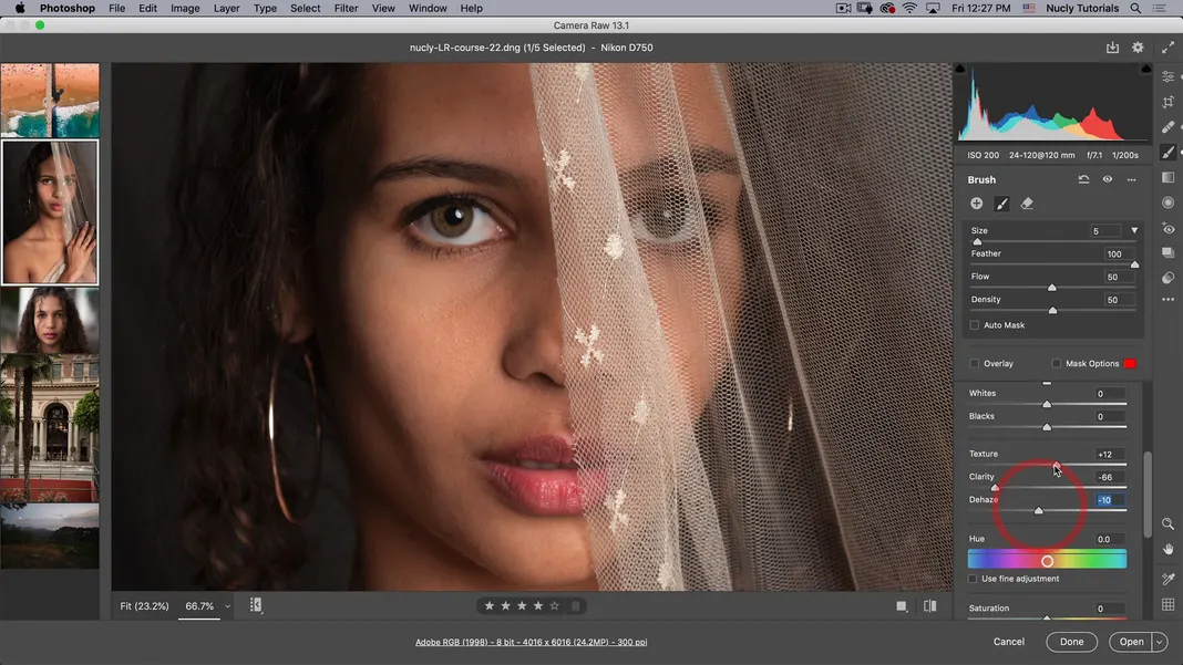 How to Use Photoshop Camera RAW